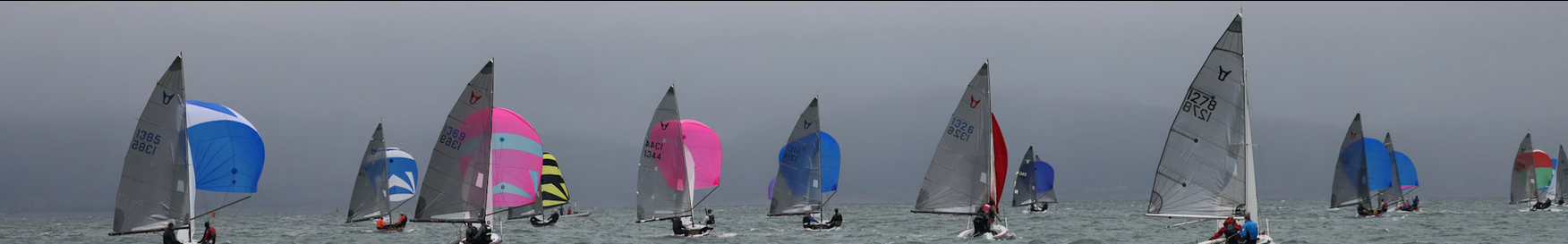 Osprey fleet under spinnakers