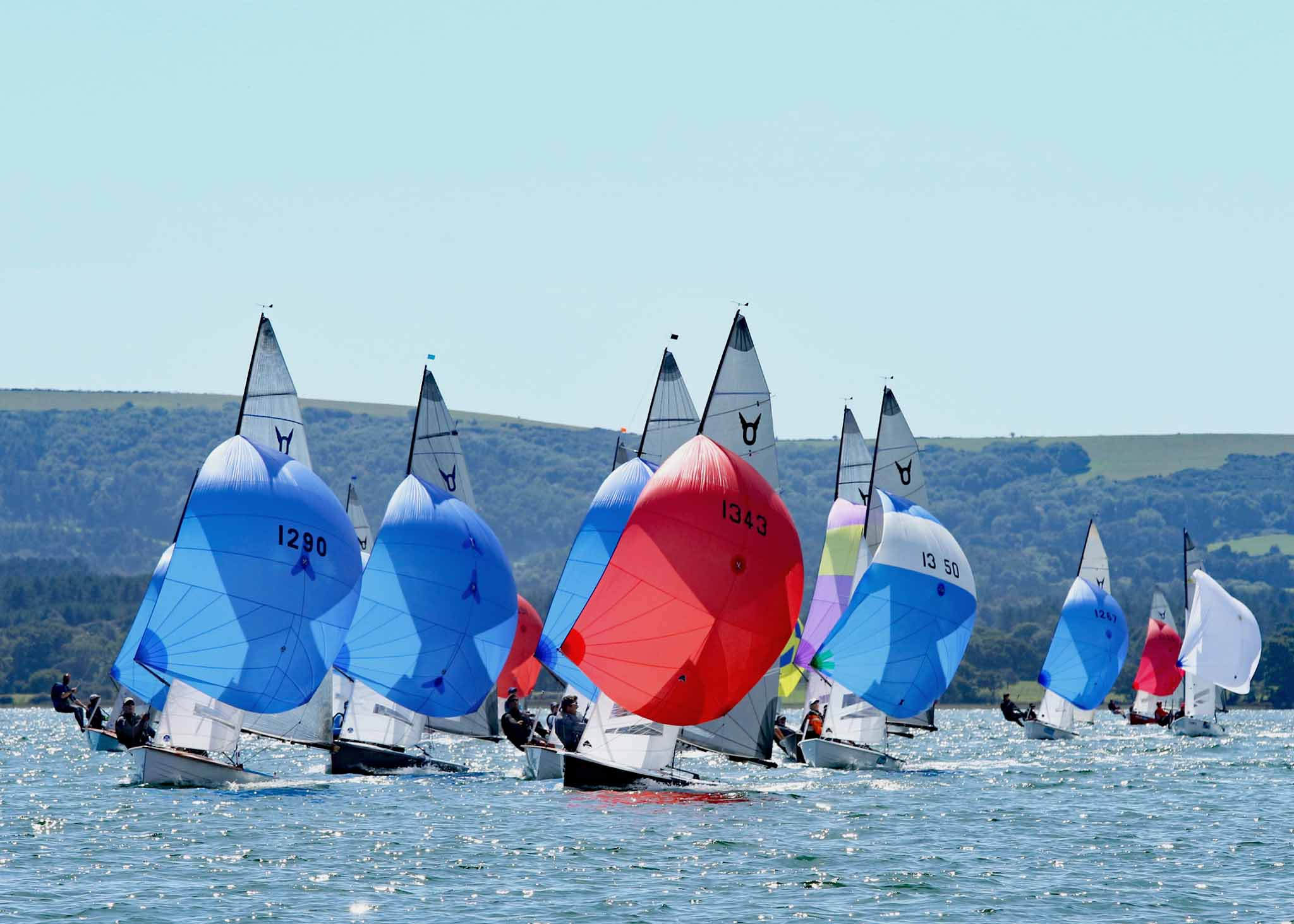 Fleet of Ospreys racing